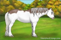 Horse Color:Silver Brown Roan Splash Frame 
