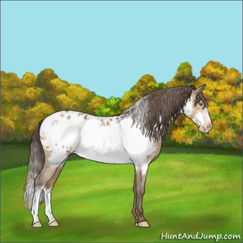 Horse Color:Sable Champagne Frame Near Leopard