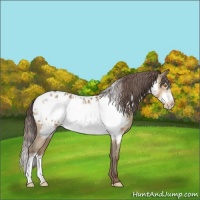 Horse Color:Sable Champagne Frame Near Leopard 