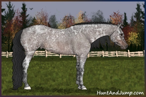 Horse Color:Brown Ice Roan