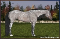 Horse Color:Brown Ice Roan
