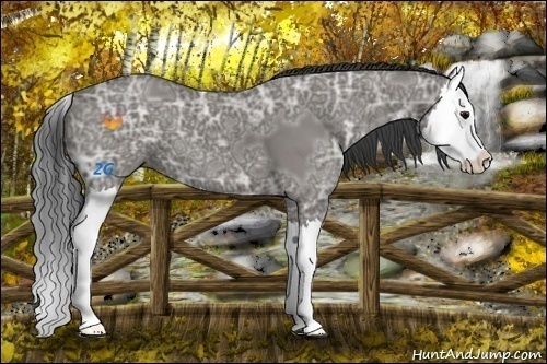 Horse Color:Grullo Ice Splash