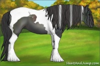 Horse Color:Smoky Black Tobiano 