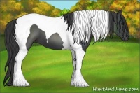 Horse Color:Smoky Black Tobiano 