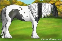 Horse Color:Smoky Black Tobiano 