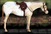 Horse Color:Classic Champagne Pearl Appaloosa 
