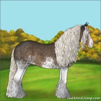 Horse Color:White Spotted Liver Chestnut Mushroom Sabino 