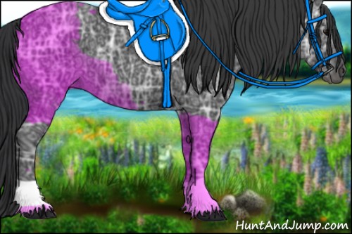 Horse Color:Black Ice 