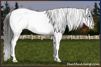 Horse Color:Grullo Sabino 