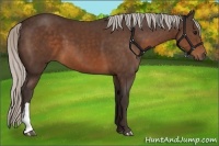 Horse Color:Silver Brown 