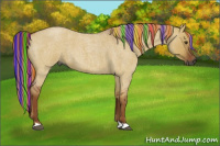 Horse Color:Gray Painted Palomino Roan Dun