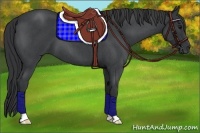 Horse Color:Blue Roan 