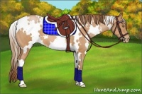 Horse Color:White Spotted Bay Pearl 