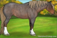 Horse Color:Liver Red Roan 
