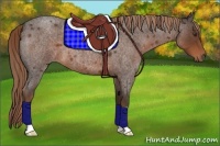 Horse Color:Liver Red Roan 