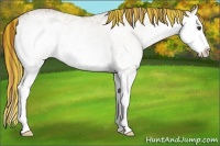 Horse Color:Painted White Spotted Chestnut Ice Splash 