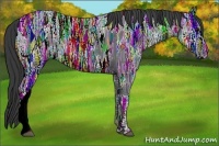 Horse Color:Black Ice 