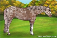 Horse Color:Silver Black Ice Rabicano
