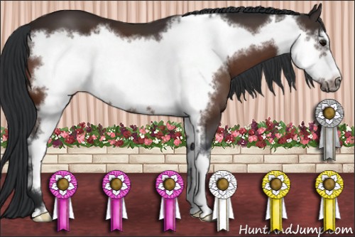 Horse Color:Brown Sabino Frame 