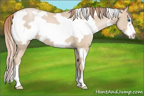 Horse Color:White Spotted Smoky Black Pearl Frame