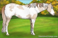 Horse Color:White Spotted Smoky Black Pearl Frame 