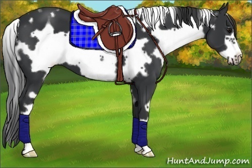 Horse Color:White Spotted Black Frame