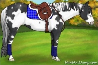 Horse Color:White Spotted Black Frame