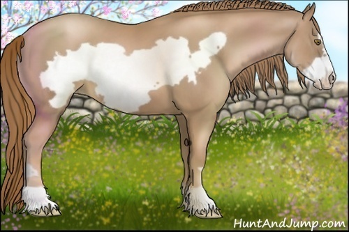 Horse Color:Liver Chestnut Pearl Frame 