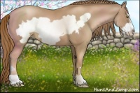 Horse Color:Liver Chestnut Pearl Frame 