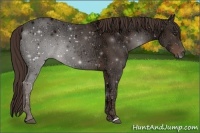 Horse Color:Liver Chestnut Ice 