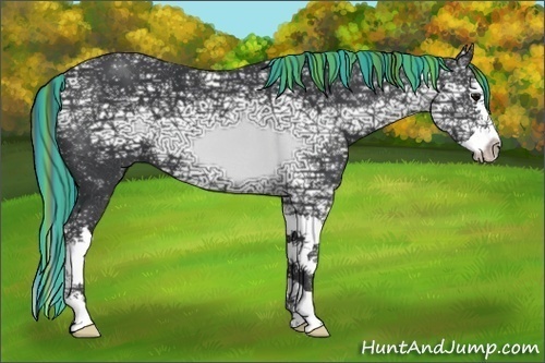 Horse Color:Painted Black Ice Splash