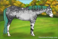 Horse Color:Painted Black Ice Splash 