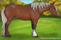 Horse Color:Silver Bay