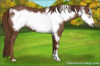 Horse Color:Chestnut Frame