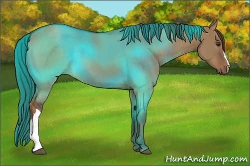 Horse Color:Liver Red Dun