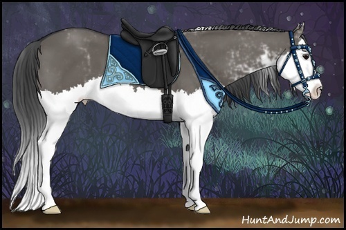 Horse Color:Grullo Sabino Splash 