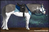 Horse Color:Grullo Sabino Splash