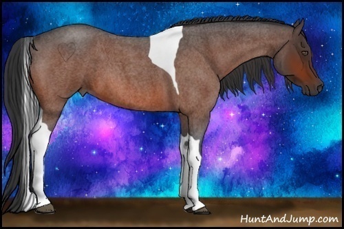 Horse Color:Bay Roan Tobiano 