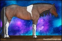 Horse Color:Bay Roan Tobiano