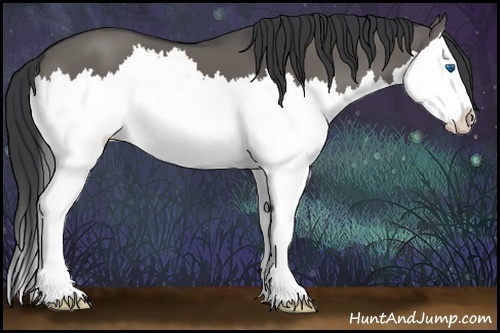 Horse Color:Grullo Sabino Splash