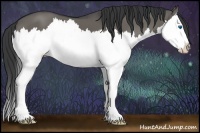 Horse Color:Grullo Sabino Splash 