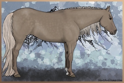 Horse Color:Silver Grullo