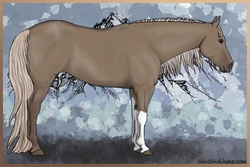 Horse Color:Silver Grullo 