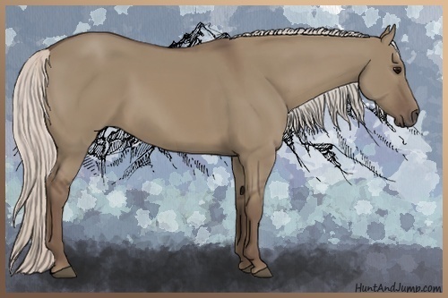 Horse Color:Silver Grullo 