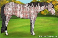 Horse Color:Plaid  Brown Ice 