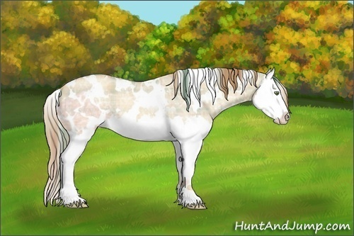 Horse Color:Plaid White Spotted Gold Champagne Ice Dun Splash