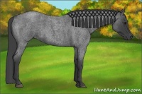Horse Color:Smoky Blue Roan 