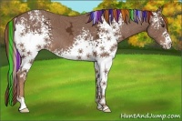 Horse Color:Painted White Spotted Chestnut Ice 