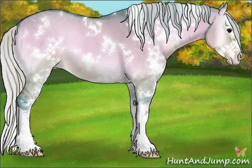 Horse Color:Watercolor White Spotted Silver Brown Onyx Splash 