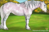 Horse Color:Watercolor White Spotted Silver Brown Onyx Splash